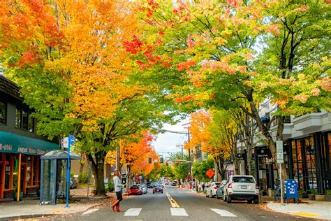 portland autumn|best fall colors in portland.